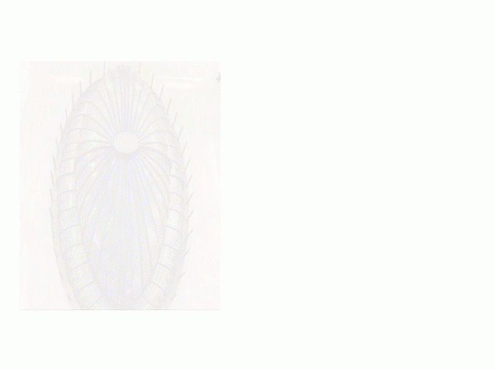 daw-348-Univeristats-imatge