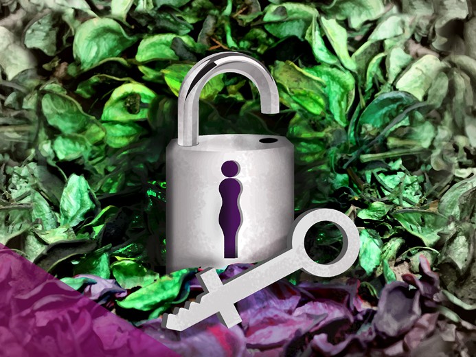 daw-219-diseno-grafico-pera-igualtat