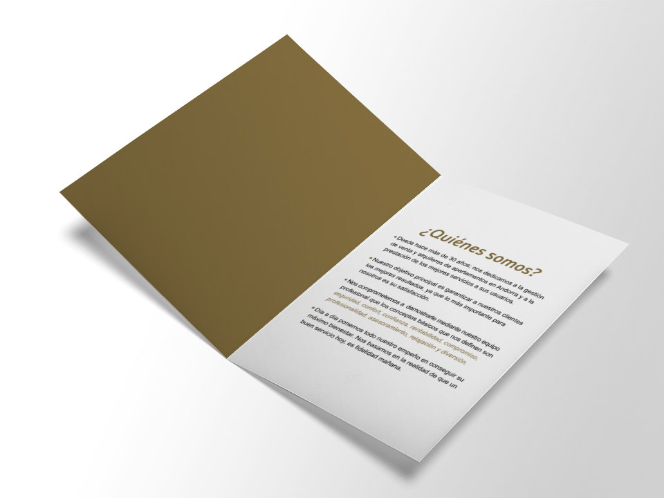 daw-38-diseno-de-dipticos