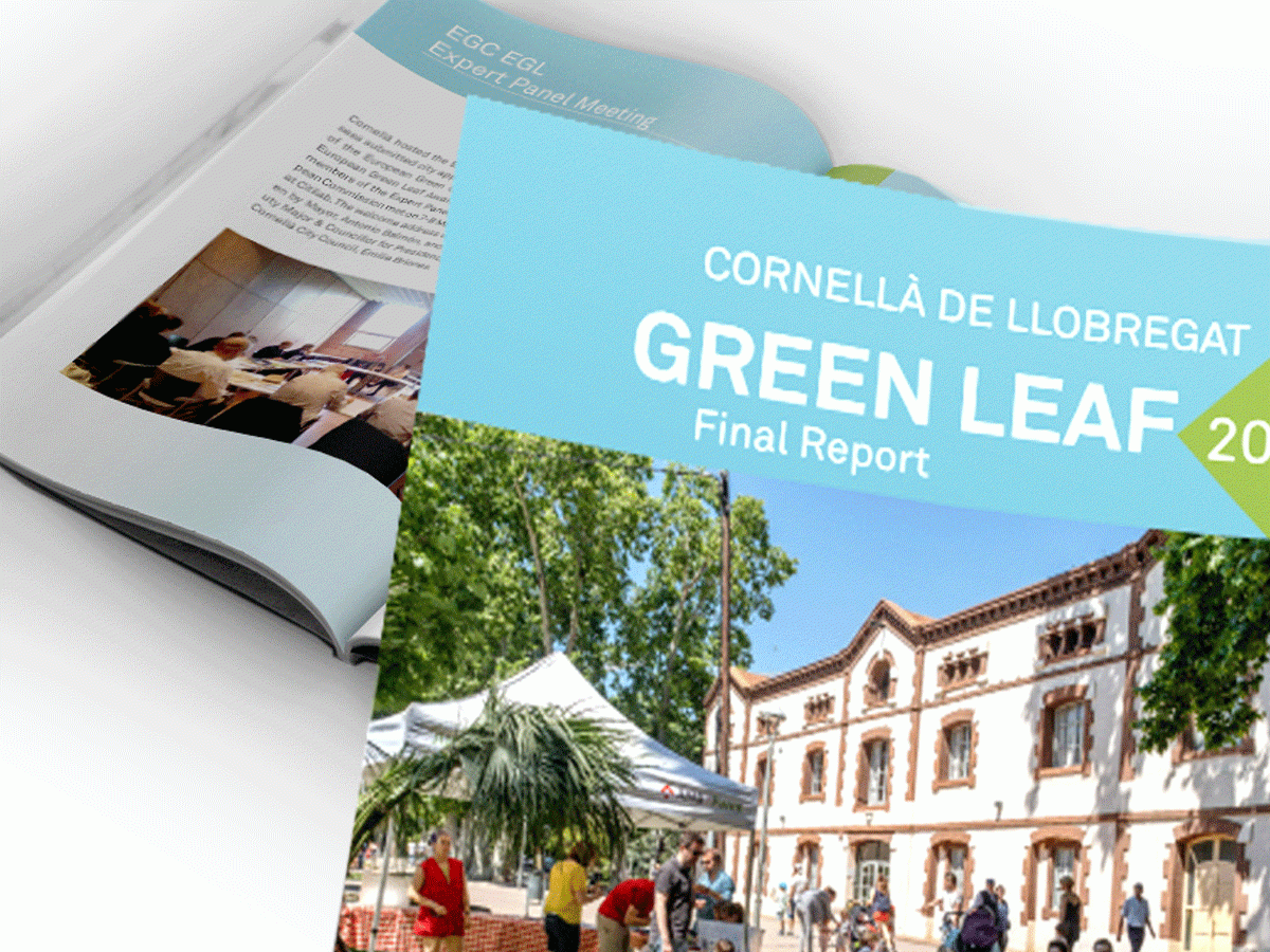 daw-204-informe-freen-leaft