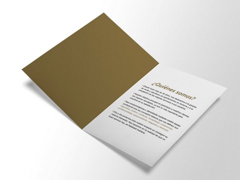 daw-38-diseno-de-dipticos